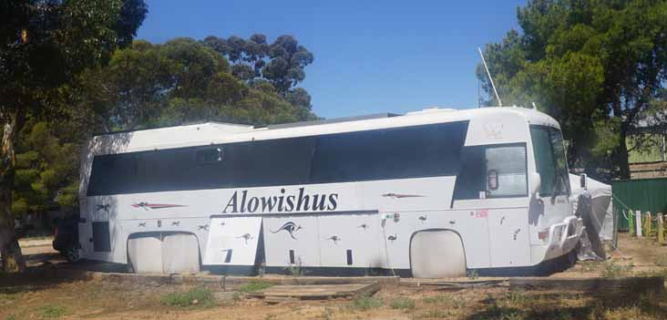 Alowishus